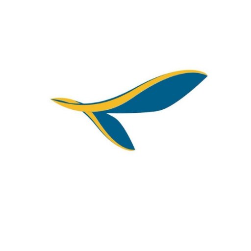 Welcome to the account of the new charter airline Tayaran Jet! Follow us and check regularly for updates, we are looking forward to hearing from you!