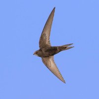 School of Natural & Social Sciences (@uognatsocsci) 's Twitter Profile Photo School of Natural & Social Sciences (@uognatsocsci) 's Twitter Profile Photo