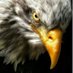 Patriot WJ 🇺🇸🇺🇸🇺🇸 (@wjack76995) Twitter profile photo Patriot WJ 🇺🇸🇺🇸🇺🇸 (@wjack76995) Twitter profile photo