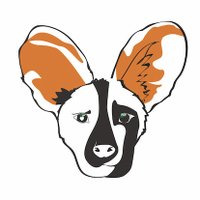 Painted Wolf Foundation (@paintedwolf_org) 's Twitter Profile Photo