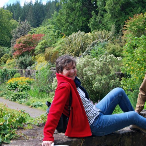 BertomeuCcoo's profile picture. 