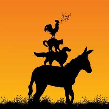 Kroniksayfa's profile picture. 