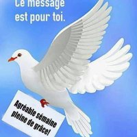 mboka (@hamidachatur) 's Twitter Profile