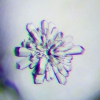 TheZwitterion Profile Picture