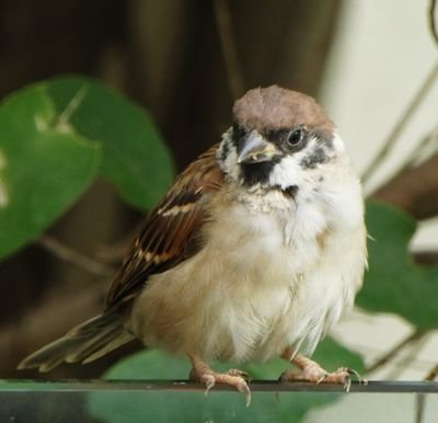 b_Xseed's profile picture. 