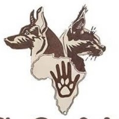 Through either our veterinary based programmes, experience life as a vet through areas such as Wildlife, Community and Agriculture in an African setting