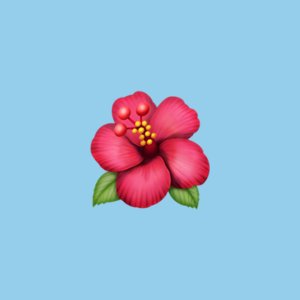 irene @flor_demaga's side acc for celebrities and other not-mutuals