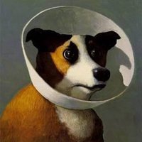 ⍴⌠⎰⊺⍴⊺⌠⏥犬の専門店 (@prtptr) 's Twitter Profile