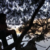 Navaneeth M Nambiar (@navaneethmn) 's Twitter Profile