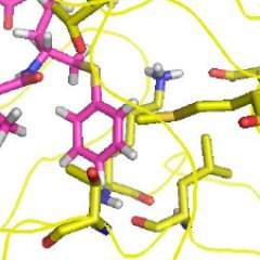 A key goal for the PhD in Comp Bio is to develop the ability to relate biological processes to computational models.