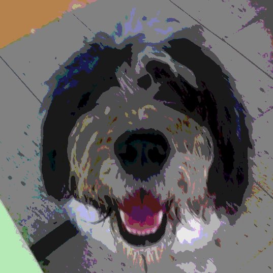 Rennyartl38's profile picture. 