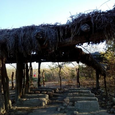 PhillipTaru's profile picture. Technocrat, Politician