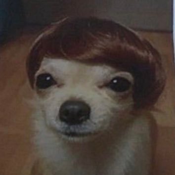 PetersonCarter's profile picture. 