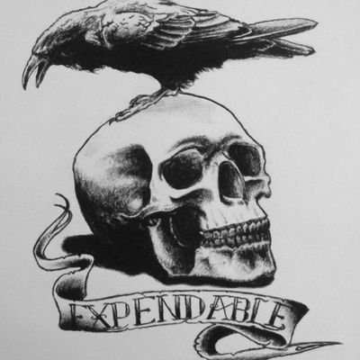 iamexpendable20's profile picture. gamer, podcaster, filthy pirate.

what more need to know.