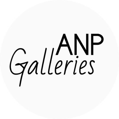 ANP_Galleries Profile Picture