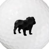 Heights Girl's Golf (@girls_heights) 's Twitter Profile