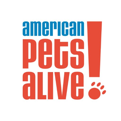 American Pets Alive! is the national education and outreach division of Austin Pets Alive!, teaching shelters innovative techniques to save more lives!