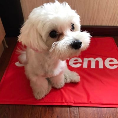 runxdbx's profile picture. 