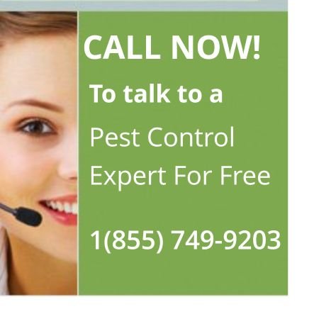 At Pestend Pest Control our core specialties are complete commercial and residential pest extermination and wildlife control services at your convenience