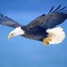 ScottsBranchES's profile picture. We know the assignment!#EaglePride 🦅 #TeamBCPS