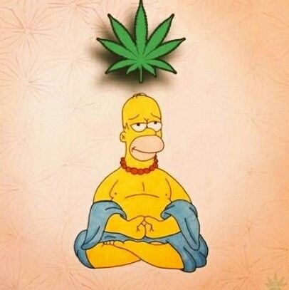 Pro stoner...
nerd
l😍ve cartoons +do not follow me