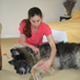 Caroline Goulard DVM (@rehabvet) Twitter profile photo
