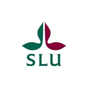 SLU_Department of Economics