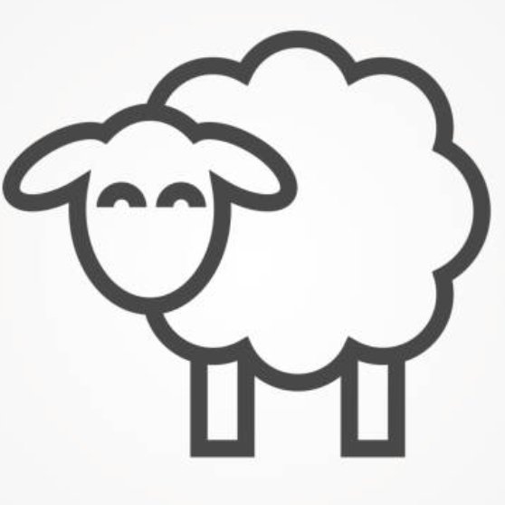 I'm a baby sheep focussed on data science