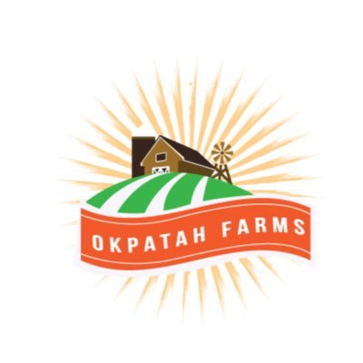 At Okpatah Farms, we are doing our part to make the dream of food security in Liberia and the world a reality.