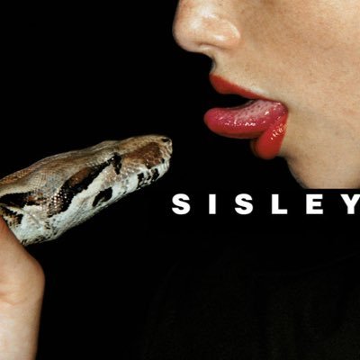 sinichenkohttps's profile picture. coming soon...