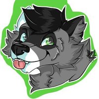 ClayTheRaccoon (@claytheraccoon) 's Twitter Profile