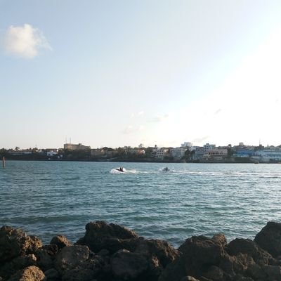 domimwosh's profile picture. 