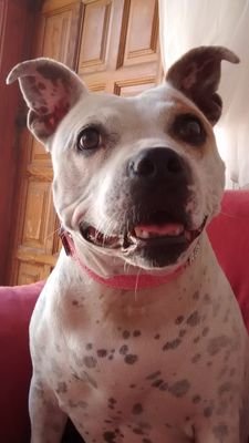 DaveHol94093723's profile picture. 