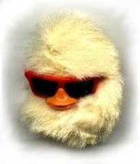 _lenarto_'s profile picture. Vom Hobby zum Beruf: Interessantes über Entrepreneurship, Internet- und Affiliate-Marketing + Networking: http://t.co/440DjiUghq