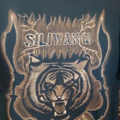 NoSaya31685318's profile picture. 