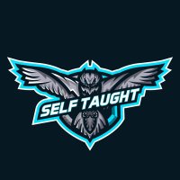 Self Taught 🦉 (@selftaught2k) 's Twitter Profile