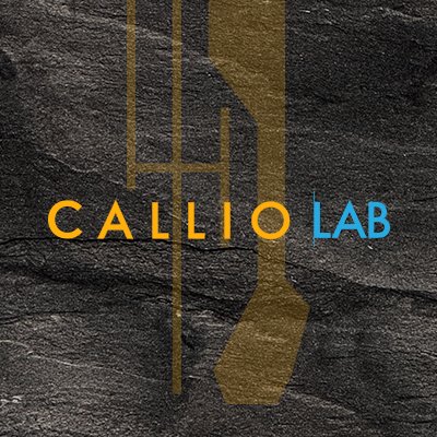CallioLab's profile picture. An Underground Research Community Working in and on Underground Research Infrastructure