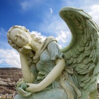 RYAN ROBERTS (@sdvi) 's Twitter Profile