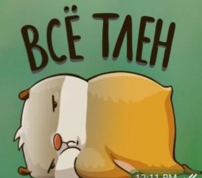 ddomansky's profile picture. "Эффективный" менеджер, притворяющийся QA и руководителем направления одновременно. Код безопасности, vGate.