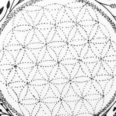 intoxicadofly's profile picture. 