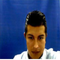 TranslationMx's profile picture. 