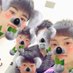 あだち そうた (@adachi__souta) Twitter profile photo あだち そうた (@adachi__souta) Twitter profile photo