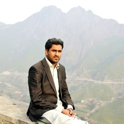 Journalist,