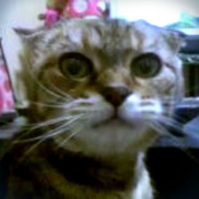 REOKOO's profile picture. 酒と映画とアニメが大好きです(^ω^)夜行性です。