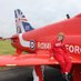 Ottilie Harwood-Gray (@grayottilie) Twitter profile photo Ottilie Harwood-Gray (@grayottilie) Twitter profile photo
