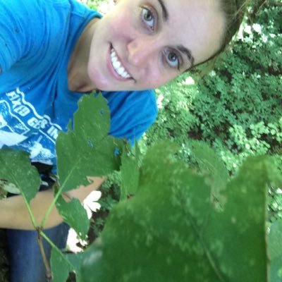 Climbing trees to study carbon and water relations in mature forest canopies. Currently a postdoc at University of Idaho.