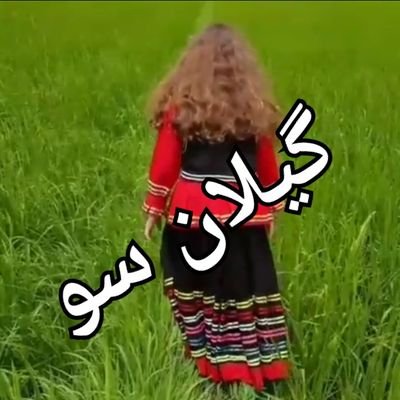 گیلان سو.. آشنایی با سنت گیلانی...gilansoo
با اینستاگرام گیلان سو همراه شوید😍😙