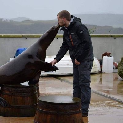 PhD student developing health and welfare assessment tools for harbour and grey seals. #Lab-on-a-chip #Endocrinology #Parasitology #Behaviour #Modelling