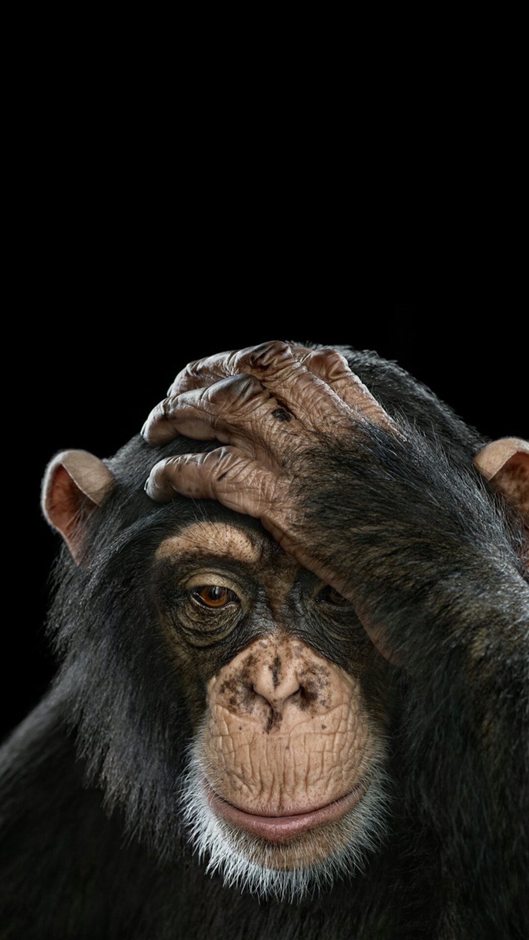 IsaiSuwat's profile picture. 