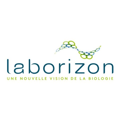 Laborizon est le fruit du rapprochement capitalistique de 5 groupements de laboratoires indépendants de biologie médicale.